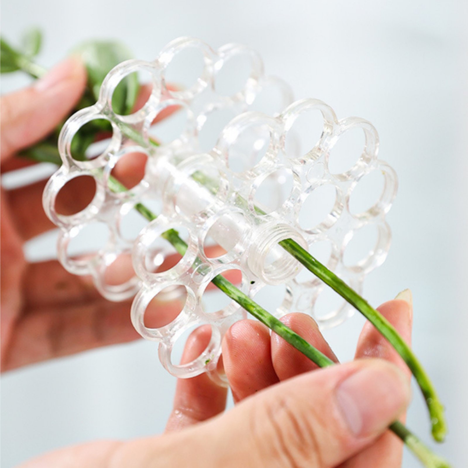 Coil Flower Stalk Holder Easy  - đánh giá và giá Home Decor Vase With Flowers