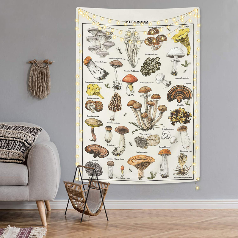 Ảo Giác Nấm Cấp Bói Toán Nhà N - đánh giá và giá Home Decor Hippie