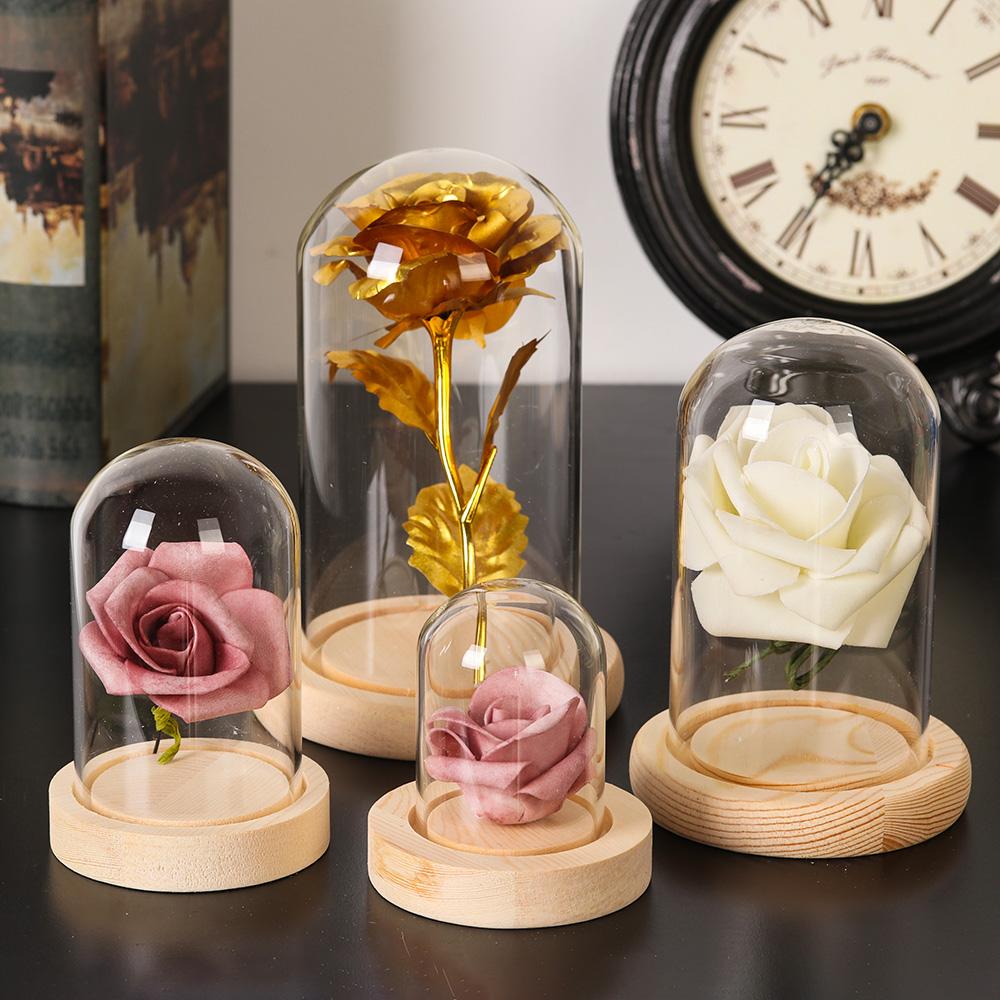 Home Decor Plants Jar Terrariu - đánh giá và giá Home Decor Vase With Flowers