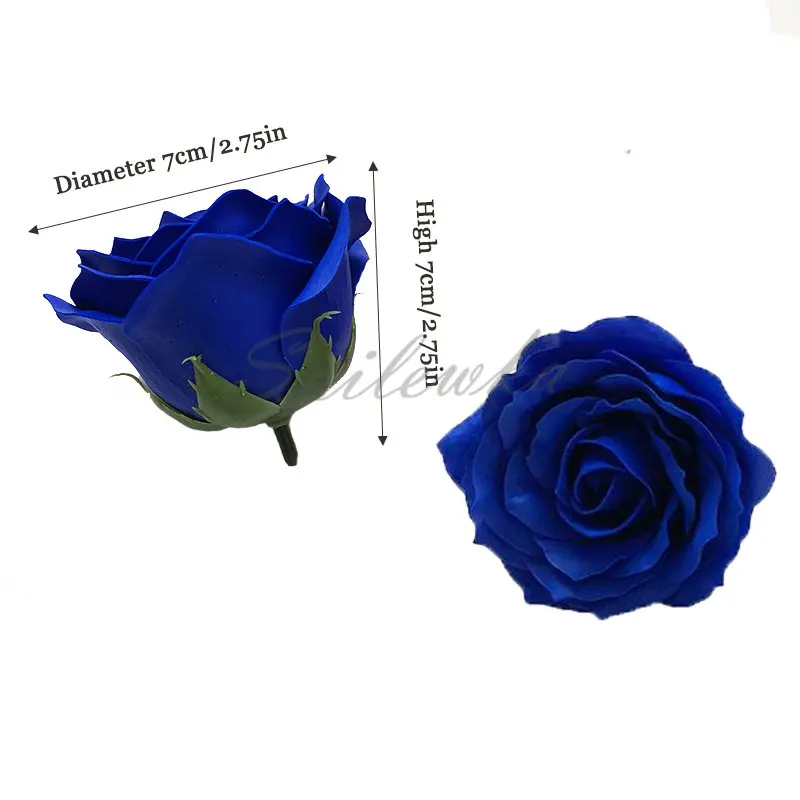 25 Con 6 Lớp Dia7cm Hoa Chất L - đánh giá và giá Home Decor For Wedding
