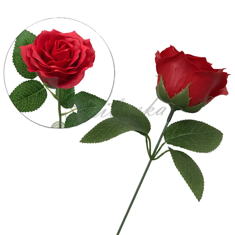 25 Con 6 Lớp Dia7cm Hoa Chất L - đánh giá và giá Home Decor For Wedding